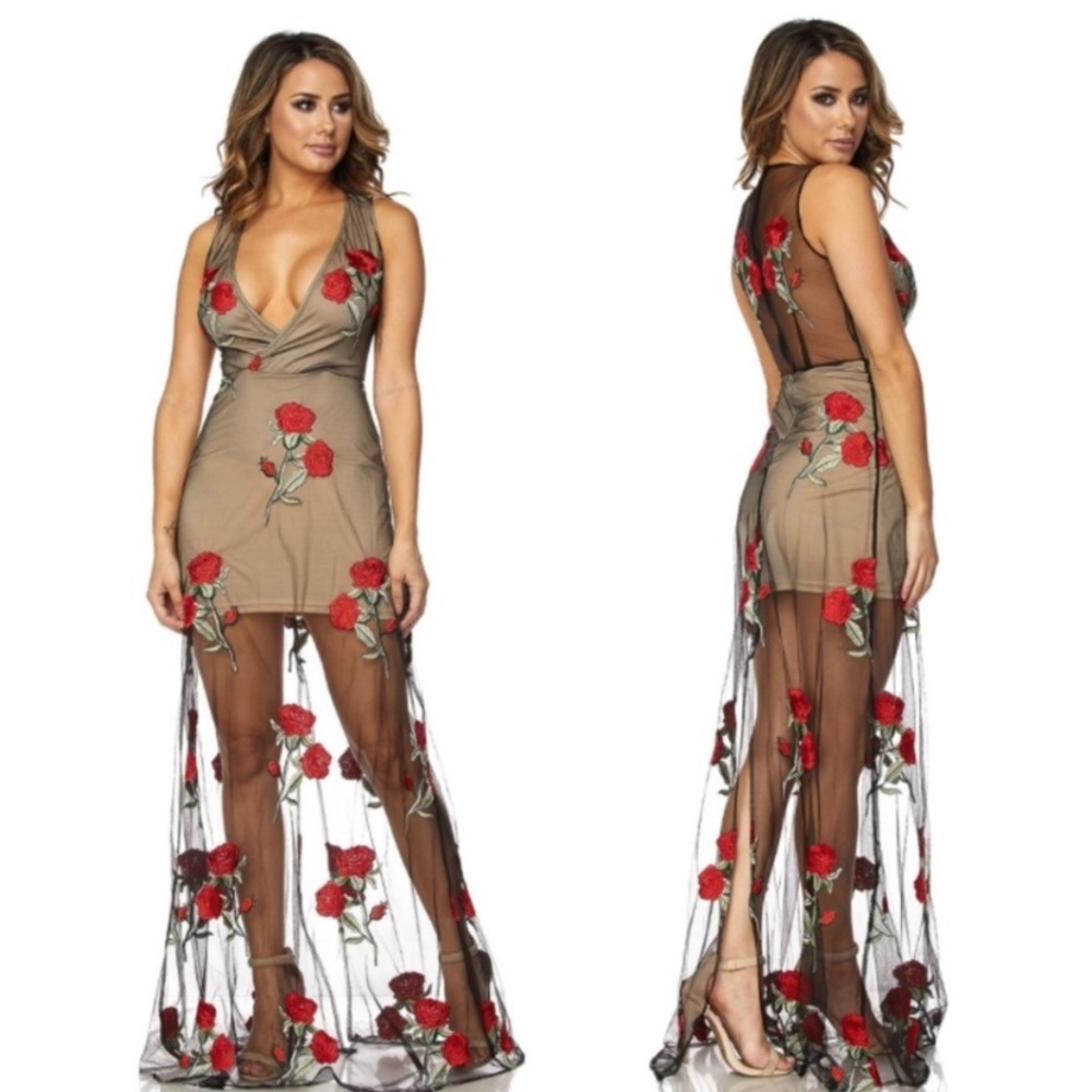 Black Mesh Sheer Back Floral Red Rose Embroidered Fashion Nova Maxi Dress